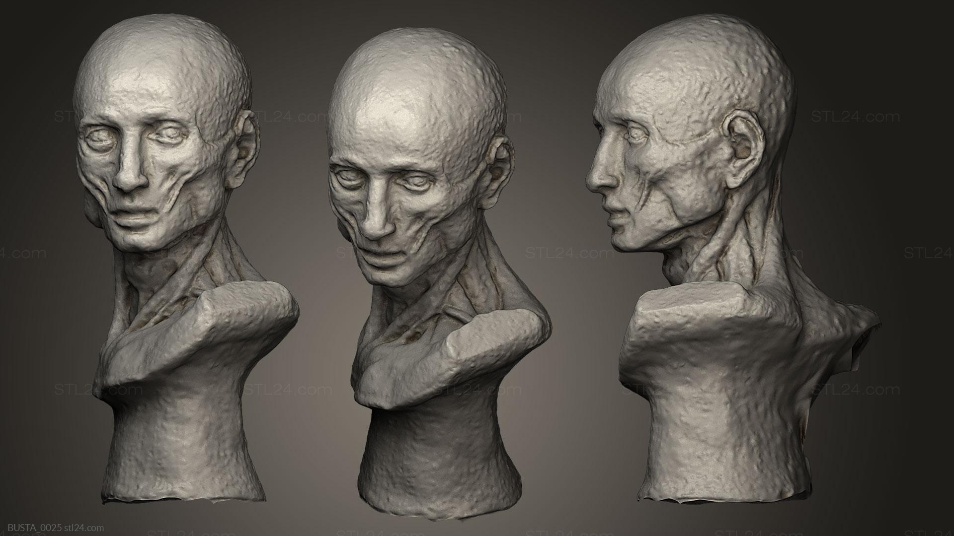 Бюсты и головы античные и исторические (Статуя без кожи, BUSTA_0025) 3D модель для ЧПУ станка